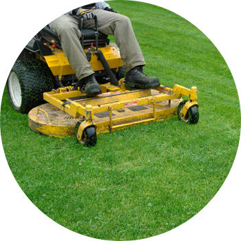 Lawn Mower Tires in North Vernon, IN