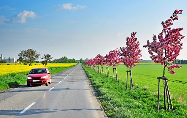 Spring Car Checkup in Smiths Falls, ON